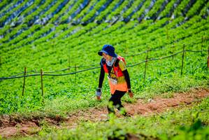 BIB: 
                            <button type="button" onclick="openModal(19163364)" class="btn btn-primary btn-sm float-right btn-popup" data-toggle="modal" data-target=".modal-high-quality">
                        <i class="fas fa-shopping-cart"></i> Add to Cart
                    </button>
                                            <button type="button" onclick="isThisMe(19163364, true)" class="btn btn-success btn-sm float-right btn-popup btn-isme hidden" data-toggle="tooltip" data-placement="bottom" title="นี่คือรูปของคุณใช่ไหม คลิกที่นี่เพื่อเอาเข้าอัลบั้ม">
                        <i class="fas fa-plus"></i> Add to album
                    </button>
                    <button type="button" onclick="isThisMe(19163364, false)" class="btn btn-warning btn-sm float-right btn-popup btn-isnotme hidden">
                        <i class="fas fa-ban"></i> Remove from album
                    </button>